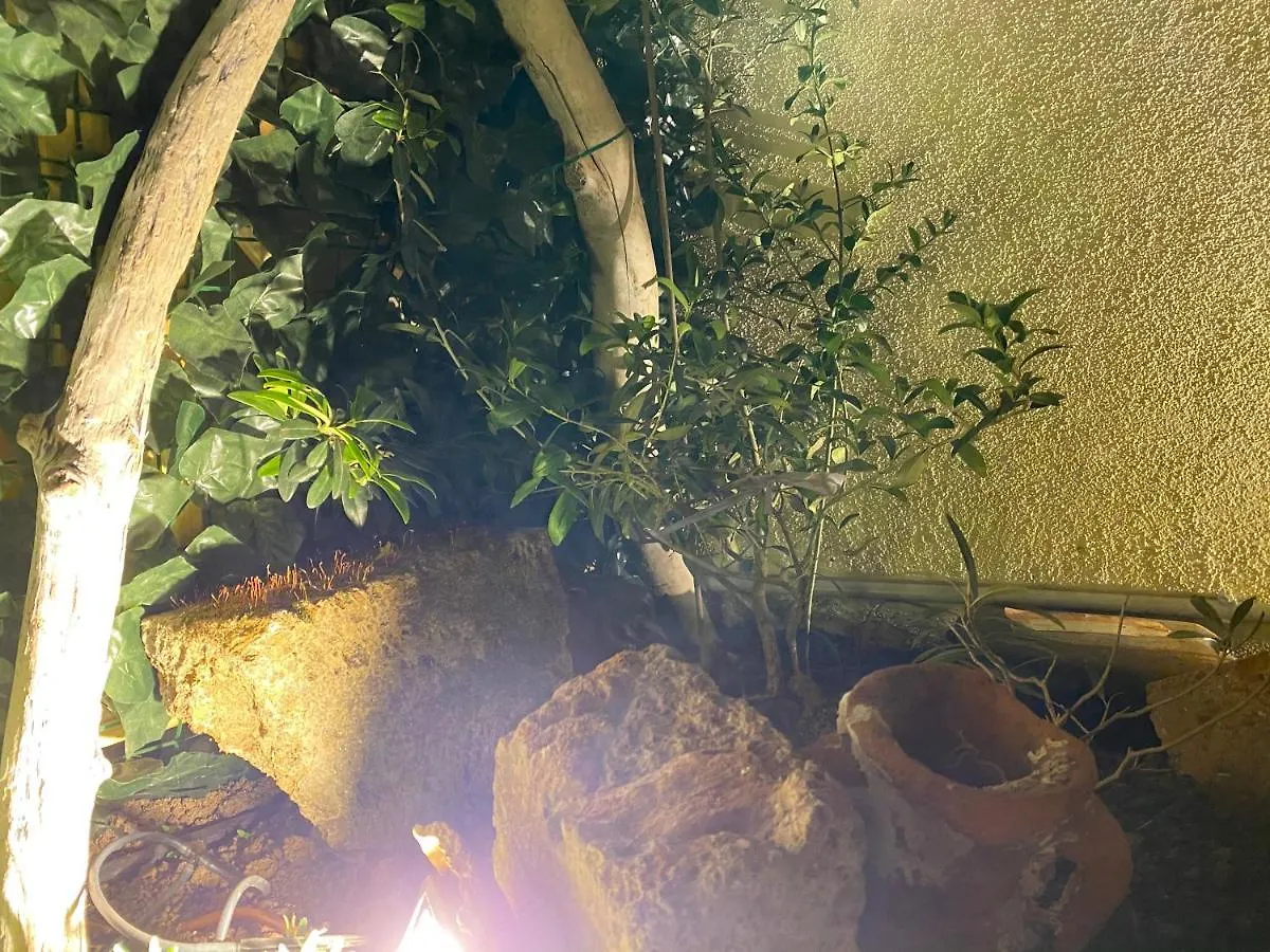 Appartamento Casa Dolce Franca Alghero 0*,
